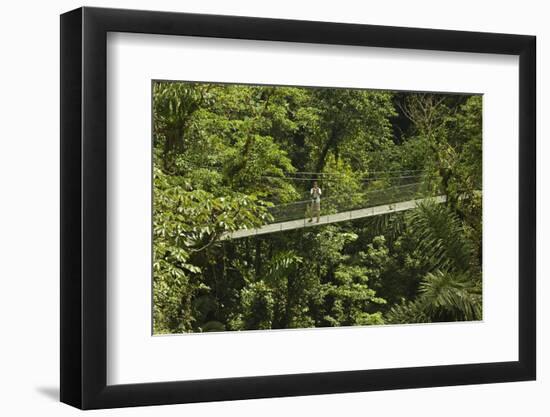 Visitor at Arenal Hanging Bridges Where Rainforest Canopy Is Accessed Via Walkways-Rob Francis-Framed Photographic Print