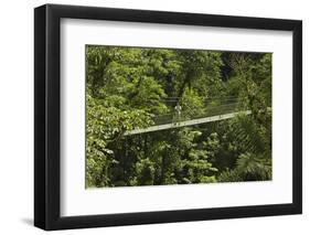 Visitor at Arenal Hanging Bridges Where Rainforest Canopy Is Accessed Via Walkways-Rob Francis-Framed Photographic Print
