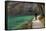 Visitor on Wooden Walkway Path over Crystal Clear Waters of Plitvice Lakes National Park-Simon Montgomery-Framed Stretched Canvas