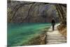 Visitor on Wooden Walkway Path over Crystal Clear Waters of Plitvice Lakes National Park-Simon Montgomery-Mounted Photographic Print