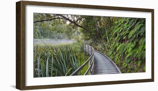 Visitor's Footbridge at the Lake Matheson, West Coast, South Island, New Zealand-Rainer Mirau-Framed Photographic Print