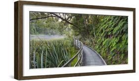 Visitor's Footbridge at the Lake Matheson, West Coast, South Island, New Zealand-Rainer Mirau-Framed Photographic Print