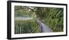 Visitor's Footbridge at the Lake Matheson, West Coast, South Island, New Zealand-Rainer Mirau-Framed Photographic Print