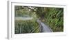 Visitor's Footbridge at the Lake Matheson, West Coast, South Island, New Zealand-Rainer Mirau-Framed Photographic Print