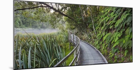 Visitor's Footbridge at the Lake Matheson, West Coast, South Island, New Zealand-Rainer Mirau-Mounted Photographic Print