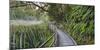 Visitor's Footbridge at the Lake Matheson, West Coast, South Island, New Zealand-Rainer Mirau-Mounted Photographic Print