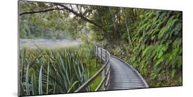 Visitor's Footbridge at the Lake Matheson, West Coast, South Island, New Zealand-Rainer Mirau-Mounted Photographic Print