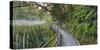 Visitor's Footbridge at the Lake Matheson, West Coast, South Island, New Zealand-Rainer Mirau-Stretched Canvas