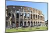 Visitors and Horse Carriages Beside the Outer Wall of the Colosseum, Forum Area, Rome-Eleanor Scriven-Mounted Photographic Print