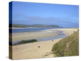 Visitors and Tourists Walking Dogs on Beach at Camel Estuary Near Rock, North Cornwall, England, Uk-Peter Barritt-Stretched Canvas