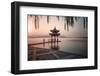 Visitors are Taking the Last Shots with a Pagoda at West Lake as the Sun Is Sinking-Andreas Brandl-Framed Premium Photographic Print