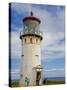 Visitors at Kilauea Lighthouse, Kauai, Hawaii, USA-Fred Lord-Stretched Canvas