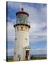 Visitors at Kilauea Lighthouse, Kauai, Hawaii, USA-Fred Lord-Stretched Canvas