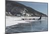 Visitors Enjoying Dog Sledding-Louise Murray-Mounted Photographic Print