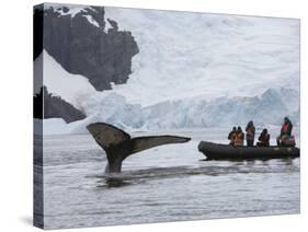 Visitors Get Close-up View of Humpback Whales in Cierva Cove, Gerlache Strait, Antarctic Peninsula-Hugh Rose-Stretched Canvas