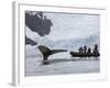 Visitors Get Close-up View of Humpback Whales in Cierva Cove, Gerlache Strait, Antarctic Peninsula-Hugh Rose-Framed Photographic Print