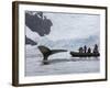 Visitors Get Close-up View of Humpback Whales in Cierva Cove, Gerlache Strait, Antarctic Peninsula-Hugh Rose-Framed Photographic Print