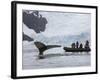 Visitors Get Close-up View of Humpback Whales in Cierva Cove, Gerlache Strait, Antarctic Peninsula-Hugh Rose-Framed Photographic Print