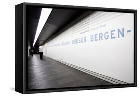 Visitors in Holocaust Museum-Felipe Rodriguez-Framed Stretched Canvas