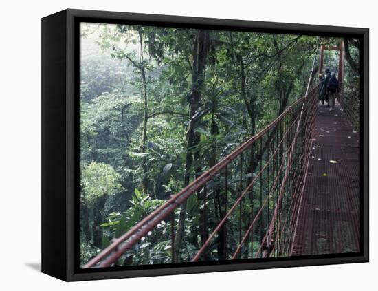 Visitors on Suspension Bridge Through Forest Canopy, Monteverde Cloud Forest, Costa Rica-Scott T. Smith-Framed Stretched Canvas