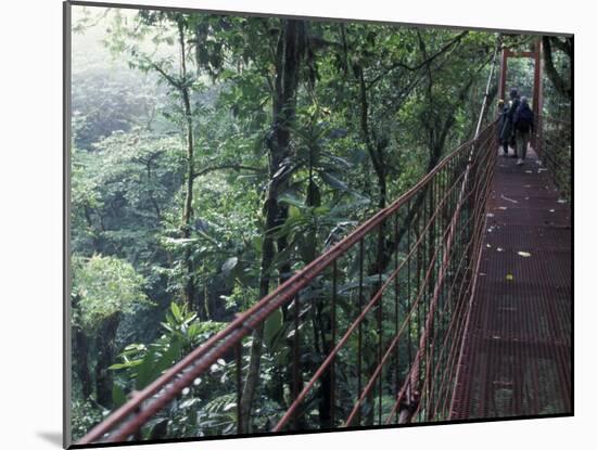 Visitors on Suspension Bridge Through Forest Canopy, Monteverde Cloud Forest, Costa Rica-Scott T. Smith-Mounted Premium Photographic Print