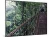Visitors on Suspension Bridge Through Forest Canopy, Monteverde Cloud Forest, Costa Rica-Scott T. Smith-Mounted Premium Photographic Print