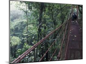 Visitors on Suspension Bridge Through Forest Canopy, Monteverde Cloud Forest, Costa Rica-Scott T. Smith-Mounted Premium Photographic Print