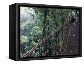 Visitors on Suspension Bridge Through Forest Canopy, Monteverde Cloud Forest, Costa Rica-Scott T. Smith-Framed Stretched Canvas