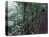 Visitors on Suspension Bridge Through Forest Canopy, Monteverde Cloud Forest, Costa Rica-Scott T. Smith-Stretched Canvas