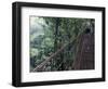 Visitors on Suspension Bridge Through Forest Canopy, Monteverde Cloud Forest, Costa Rica-Scott T. Smith-Framed Photographic Print