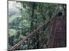 Visitors on Suspension Bridge Through Forest Canopy, Monteverde Cloud Forest, Costa Rica-Scott T. Smith-Mounted Photographic Print