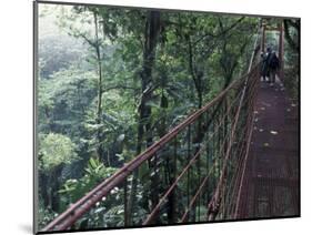 Visitors on Suspension Bridge Through Forest Canopy, Monteverde Cloud Forest, Costa Rica-Scott T. Smith-Mounted Photographic Print