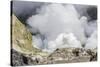 Visitors to an Active Andesite Stratovolcano-Michael Nolan-Stretched Canvas