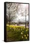 Visitors Walking Along the Serpentine with Daffodils in the Foreground, Hyde Park, London-Charlie Harding-Framed Stretched Canvas