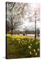 Visitors Walking Along the Serpentine with Daffodils in the Foreground, Hyde Park, London-Charlie Harding-Stretched Canvas