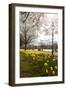 Visitors Walking Along the Serpentine with Daffodils in the Foreground, Hyde Park, London-Charlie Harding-Framed Premium Photographic Print