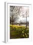 Visitors Walking Along the Serpentine with Daffodils in the Foreground, Hyde Park, London-Charlie Harding-Framed Premium Photographic Print