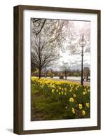 Visitors Walking Along the Serpentine with Daffodils in the Foreground, Hyde Park, London-Charlie Harding-Framed Photographic Print