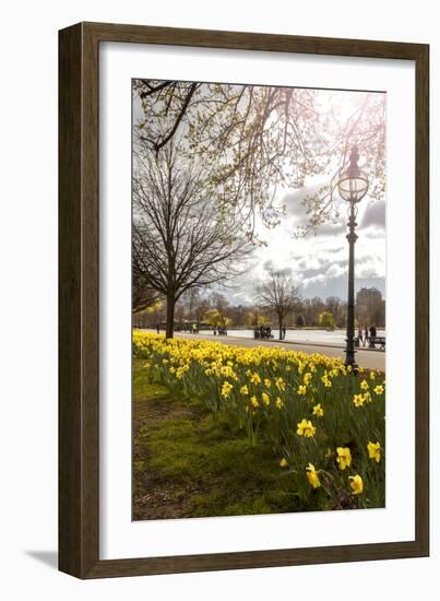 Visitors Walking Along the Serpentine with Daffodils in the Foreground, Hyde Park, London-Charlie Harding-Framed Photographic Print