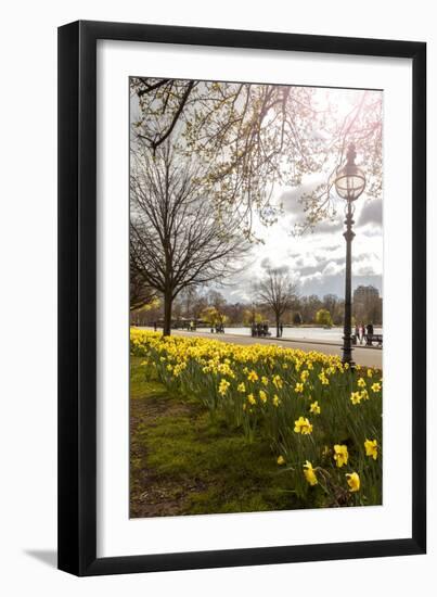 Visitors Walking Along the Serpentine with Daffodils in the Foreground, Hyde Park, London-Charlie Harding-Framed Photographic Print