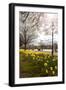 Visitors Walking Along the Serpentine with Daffodils in the Foreground, Hyde Park, London-Charlie Harding-Framed Photographic Print