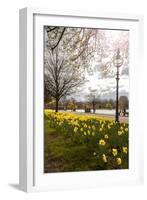 Visitors Walking Along the Serpentine with Daffodils in the Foreground, Hyde Park, London-Charlie Harding-Framed Photographic Print