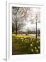 Visitors Walking Along the Serpentine with Daffodils in the Foreground, Hyde Park, London-Charlie Harding-Framed Photographic Print