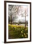 Visitors Walking Along the Serpentine with Daffodils in the Foreground, Hyde Park, London-Charlie Harding-Framed Photographic Print