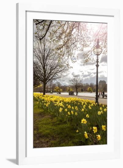 Visitors Walking Along the Serpentine with Daffodils in the Foreground, Hyde Park, London-Charlie Harding-Framed Photographic Print