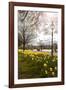 Visitors Walking Along the Serpentine with Daffodils in the Foreground, Hyde Park, London-Charlie Harding-Framed Photographic Print