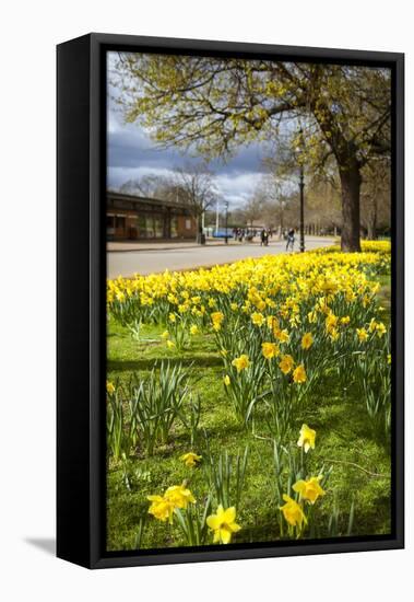 Visitors Walking Along the Serpentine with Daffodils in the Foreground, Hyde Park, London-Charlie Harding-Framed Stretched Canvas