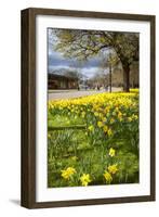 Visitors Walking Along the Serpentine with Daffodils in the Foreground, Hyde Park, London-Charlie Harding-Framed Photographic Print