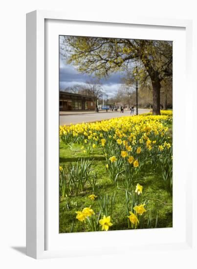 Visitors Walking Along the Serpentine with Daffodils in the Foreground, Hyde Park, London-Charlie Harding-Framed Photographic Print