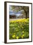 Visitors Walking Along the Serpentine with Daffodils in the Foreground, Hyde Park, London-Charlie Harding-Framed Photographic Print